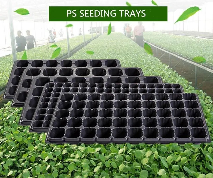 200 Cells Propagator Seeding Germinating Trays